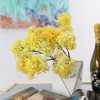 Five plastic starry sky Lafiza decorative illustration materials artificial flower JWG1901 Starry Sky Item Picture